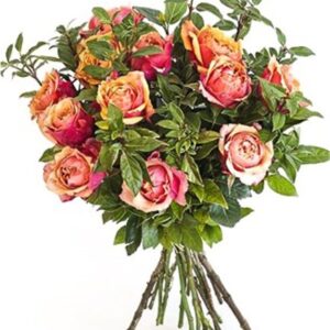 Roses Bunch Plus Mix