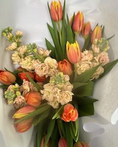 Tulip Magic from R700